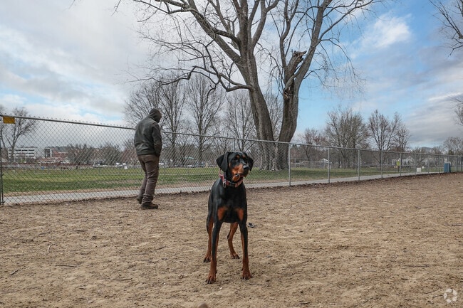 There are two fenced-in dog parks located right in Riverside Park in Haverhill.