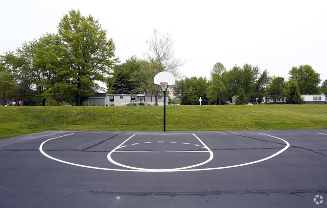 Basketball Court
