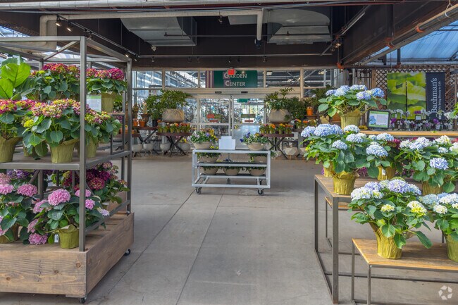 Bachman's has a Large Selection of Indoor and Outdoor Plants