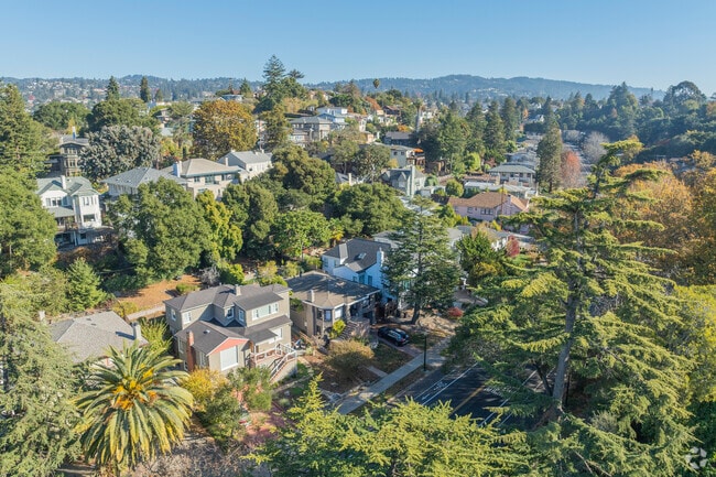 Trestle Glen's streets are full of tree cover.