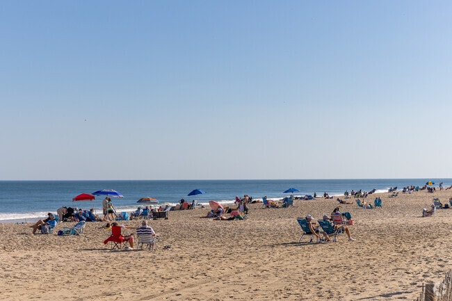 Travel to the nearby Eastern Shore beaches from Pocomoke City in under an hour.