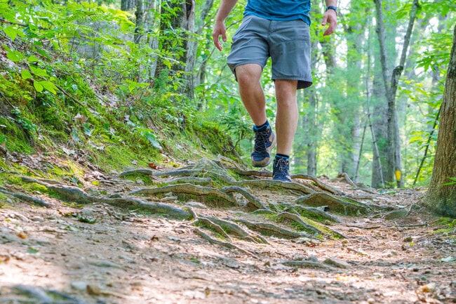 Bring your best hiking shoes for a fun and comfortable hike on the Oak Hill Trails in Loudon.