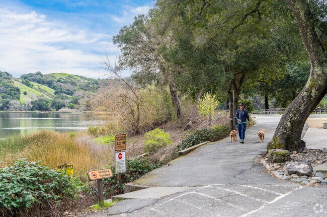 Enjoy a peaceful walk or hike around the Lafayette Reservoir, surrounded by nature’s beauty.
