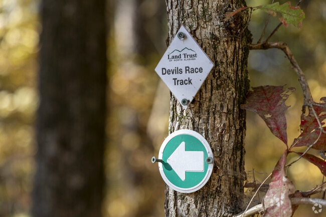 There are two hiking and horse riding trails at the Wade Mountain Nature Preserve.