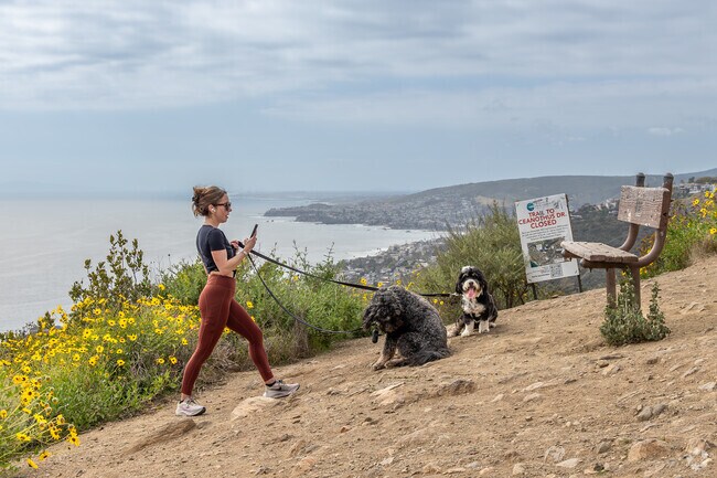 The trail to Aliso Peak from Coast Royal winds through coastal sage scrub and rewards hikers with one of the most scenic overlooks in all of Laguna Beach.