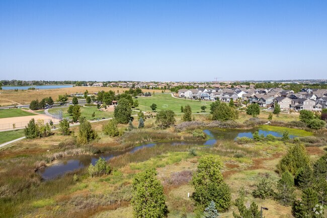 Quail Park near Lexington Estates, Broomfield, Colorado.