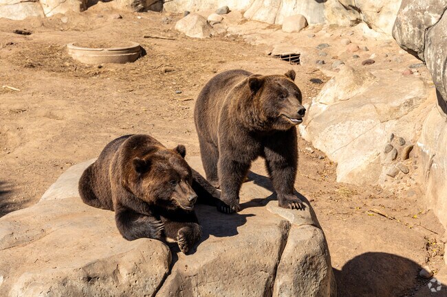 The entire family can enjoy a day at the Lake Superior Zoo near Morgan Park.