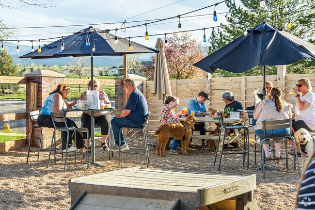 Bring your dog to the pet-friendly patio at Coal Mine Avenue Brewing Company in Stony Creek.