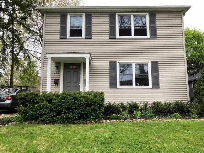 222 Buena Vista Ave unit Lower, Ann Arbor, MI 48103 - photo 3