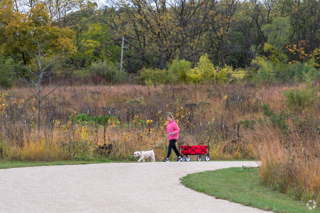 A woman pulls a wagon as she walks her dog in the Old Mill Creek neighborhood.