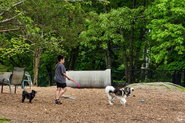 Pups love a visit to the dog park at Dedham Parks and Rec Complex.