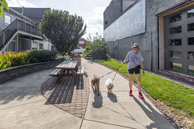 Take your best friends out for a walk through Columbiana.