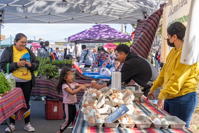 Shop for local farm-fresh eggs at the Beaverton Farmers Market.
