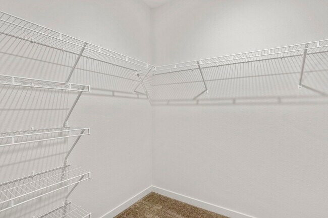 The Rowhomes at Greyhound Park, Commerce City, CO 80022 - photo 4