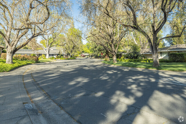 The trees reach out and across some streets to offer an almost blanket of relief from the sun.