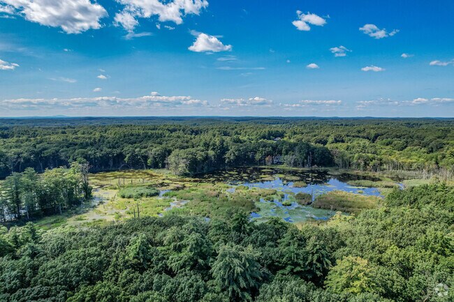 Upper Hill Brook Conservation Area features a large pond for relaxing scenery in Wayland.