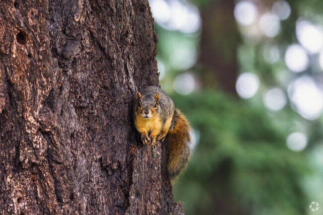Hazelwood features mature trees and landscaping for its smallest residents.