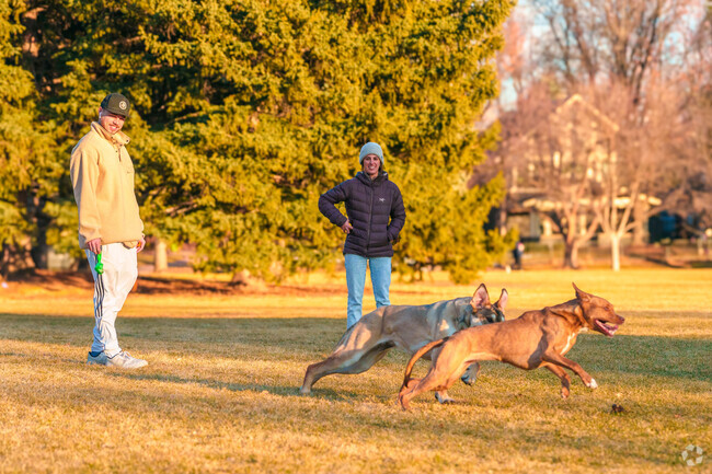 Observatory Park in University Park is a great place for locals to hang out with their pups.