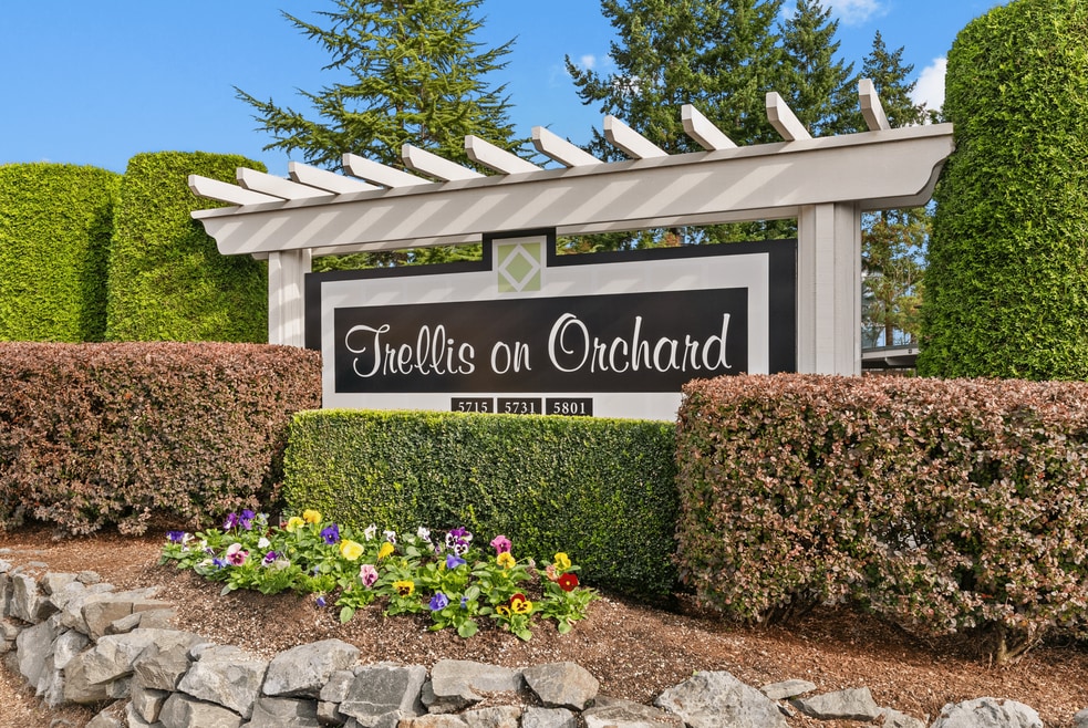 Trellis on Orchard, Tacoma, WA 98467 - photo 1