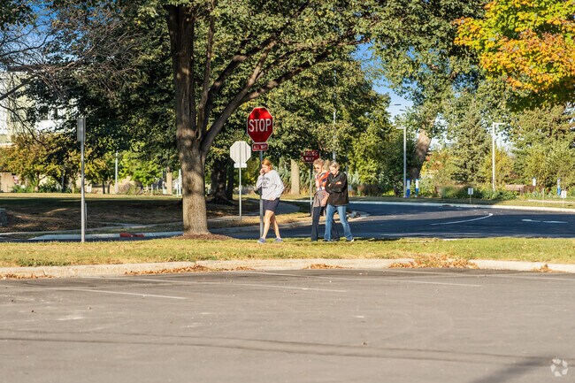 Tree-lined streets in Meadow Park invite morning walks and peaceful neighborhood strolls.