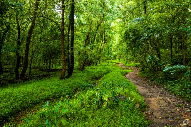 Yorkmount locals love a quiet stroll through the dense foliage of Sugar Creek Greenway.