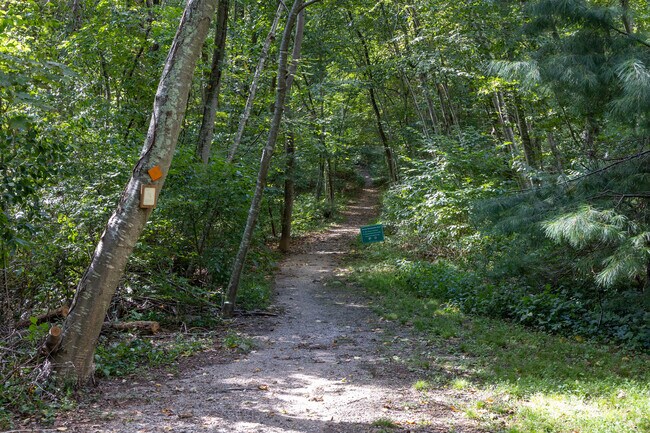 Canfield Woods in Essex is the place to go for a hike.