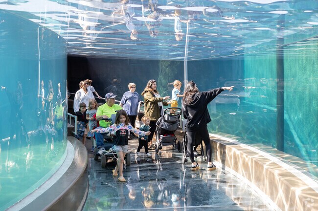 Come see the playful seals at the Columbus Zoo near Olde Sawmill.