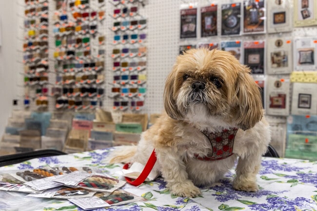 Shop mascot Summer can help Crafty Carney residents find supplies at Needle Craft Corner.