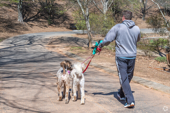 You can walk your dogs along the trails at Newton Park in Newtown.