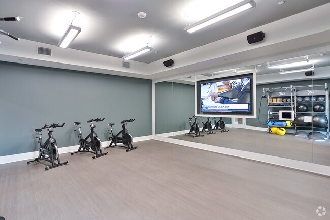 Overture Providence 55+ Active Adult Apartment Homes, Charlotte, NC 28277 - photo 5