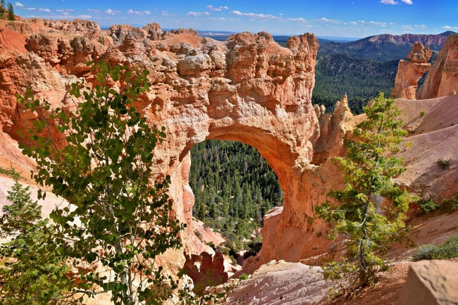 220 Circle Dr unit ID1249883P, Brian Head, UT 84719 - photo 4