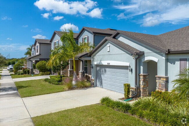 Florida palm trees stand in front of homes in Progress Village instead of tall oaks.