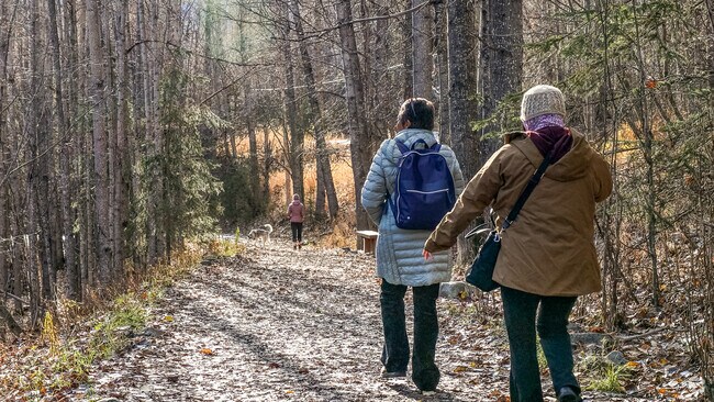 There are plenty of beautiful trails to explore in South Fork.