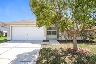 1513 Birchstone Ave, Brandon, FL 33511