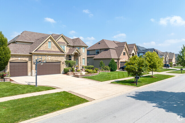 A row of beautiful newly built homes showing popular home style in Timber Creek.