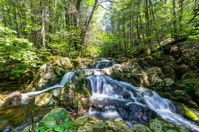 Chester is home to scenic rivers and waterfalls that flow through its forested hills and valleys.