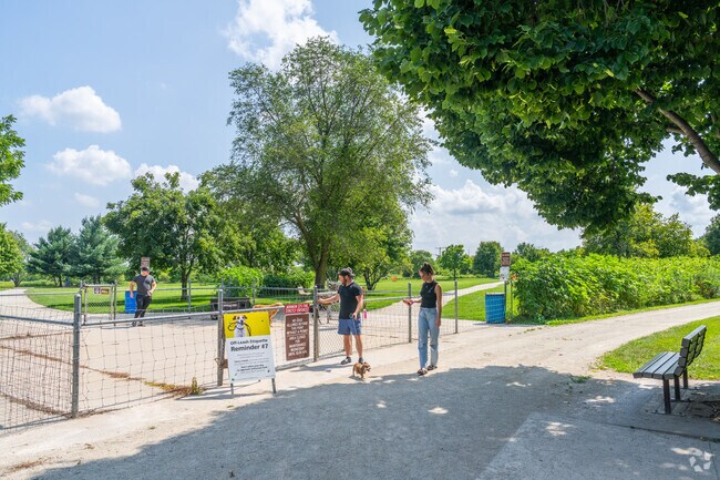 The dog park in Greene Valley Forest Preserve is a popular spot to meet up with friends.