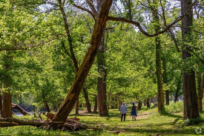 Couples love to stroll the wooded trails at Billy Dunlop Park in Clarksville.