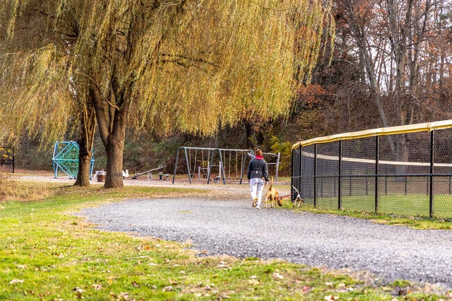 Cass Park is a favored spot for locals to stroll with their furry companions.