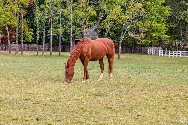 Areas of Kernersville are dotted with quiet and peaceful farms.