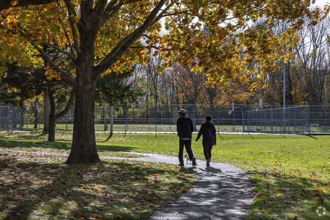 A Fairmount couple walks their dog through Dunn Park.