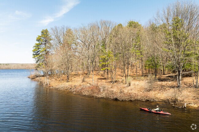 A kayaker paddles along the shoreline of Mansfield Hollow Lake in Chaplin.
