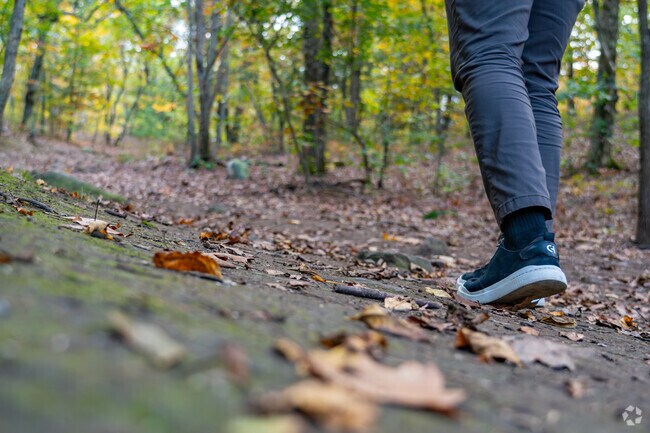 You can access the Whipple Hill Nature Reserve from Winchester's West Side neighborhood.