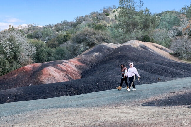 Locals hike scenic trails at Black Diamond Mines Regional Preserve near East Contra Costa.