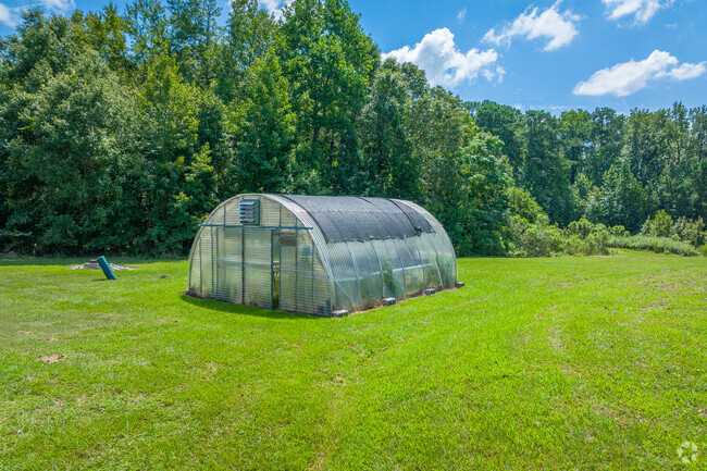 Wide shot of the greenhouse