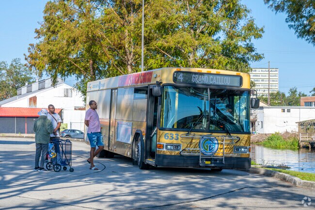 South Side residents who don't have access to a car can rely on Good Earth bus line for public transit.