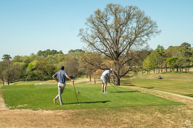 Hit a hole in one at Highland Park Golf Course.