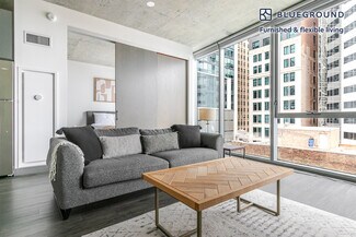 60 E Randolph St Unit FL9-ID1371, Chicago, IL 60601
