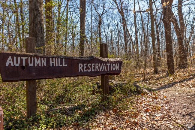 Get off the beaten path at Autumn Hill Reservation.