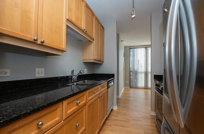 301 W Ohio St unit 1004, Chicago, IL 60654 - photo 4